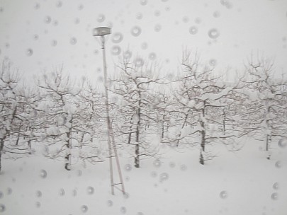 2017-01-15 14 Jigokudani 14.01.25 IMG_8598 Anne - view from bus, apple trees.jpeg: 4608x3456, 3981k (2017 Jan 26 18:35)