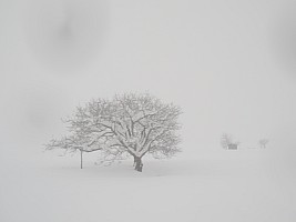 Nozawa Onsen, Jigokudani