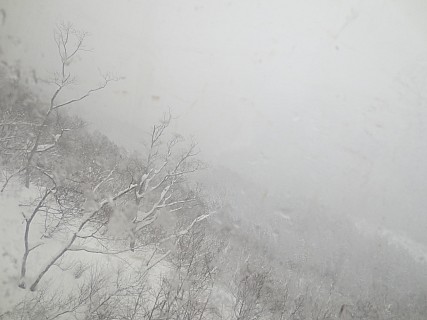 View From Gondala
Photographer;&nbsp;Anne
2017-01-16&nbsp;12.59.53;&nbsp;Metadata time: '2017 Jan 16 12:59'
Original size:&nbsp;4,608 x 3,456; 3,890 kB
Filename: 2017-01-16 12.59.53 IMG_8635 Anne - view from gondala.jpeg