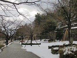 Nozawa Onsen, Kanazawa, Madarao