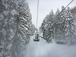 Nozawa Onsen, Kanazawa, Madarao