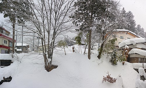 2017-01-19 09.07.19 Panorama Simon - view out our Ryokan Jonnobi window_stitch.jpeg: 7196x4378, 31484k (2017 Aug 03 21:18) 2017-01-19 09.07.19 Panorama Simon - view out our Ryokan Jonnobi window_stitch.jpeg: 7196x4378, 31484k (2017 Aug 03 21:18)