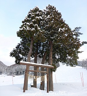 Torii
Photographer;&nbsp;Simon
2017-01-19&nbsp;16.23.43;&nbsp;Metadata time: '2017 Jan 19 16:23'
Original size:&nbsp;4,591 x 5,010; 20,475 kB;&nbsp;stitch
Filename: 2017-01-19 16.23.43 Panorama Simon - Torii_stitch.jpeg