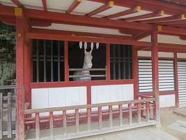 Hiroshima