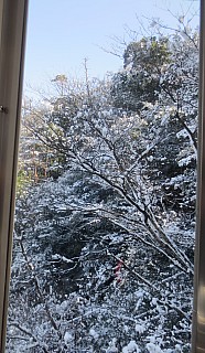 Snow On Trees
Photographer;&nbsp;Anne
2017-01-21&nbsp;11.56.50;&nbsp;Metadata time: '2017 Jan 21 11:56'
Original size:&nbsp;2,672 x 4,608; 6,312 kB;&nbsp;cr
Filename: 2017-01-21 11.56.50 IMG_9090 Anne - snow on trees_cr.jpg
