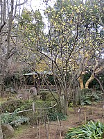 Hiroshima