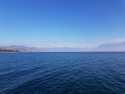 View from Quai Jean-Pascal Delamuraz
Photographer;&nbsp;Jim
2018-01-28&nbsp;15.31.55;&nbsp;Metadata time: '2018 Jan 28 15:31'
Original size:&nbsp;4,032 x 3,024; 3,862 kB
Filename: 2018-01-28 15.31.55 Jim - view from Quai Jean-Pascal Delamuraz.jpeg