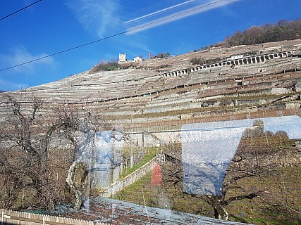 View from train Domaine du Dézaley
Photographer;&nbsp;Jim
2018-01-28&nbsp;13.33.52;&nbsp;Metadata time: '2018 Jan 28 13:33'
Original size:&nbsp;4,032 x 3,024; 6,282 kB
Filename: 2018-01-28 13.33.52 Jim - view from train Domaine du Dézaley.jpeg