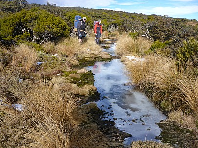 2018-07-07 10.23.26 P1020319 Simon - Alan and Brian on the track after lunch.jpeg: 4608x3456, 6035k (2018 Jul 09 21:20) 2018-07-07 10.23.26 P1020319 Simon - Alan and Brian on the track after lunch.jpeg: 4608x3456, 6035k (2018 Jul 09 21:20)