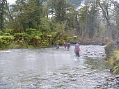 Crossing Serpentine Creek
Photo: Jim
2019-01-13 15.47.43; '2019 Jan 13 15:47'
Original size: 4,320 x 3,240; 5,137 kB
2019-01-13 15.47.43 P1000559 Jim - crossing Serpentine Creek.jpeg