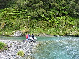 Paringa to Tunnel Creek Hut