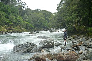 Paringa to Tunnel Creek Hut