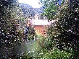 Paringa to Tunnel Creek Hut