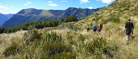 Tunnel Creek Hut to Paringa Rock Biv
