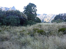 Paringa Rock Biv to McCullaugh Creek