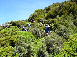 McCullaugh Creek to Murdock Creek