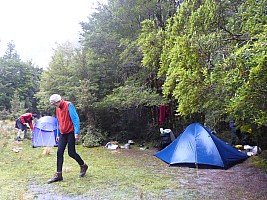 Stag Flat to Fox Glacier