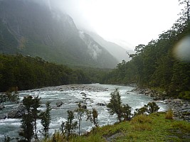 Stag Flat to Fox Glacier