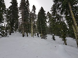 Northstar