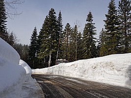 Tahoe City