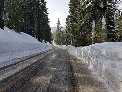 Snow banks down Granlibakken Road
Photographer;&nbsp;Jim
2019-02-27&nbsp;10.05.52;&nbsp;Metadata time: '2019 Feb 27 10:05'
Original size:&nbsp;4,032 x 3,024; 2,829 kB
Filename: 2019-02-27 10.05.52 Jim - snow banks down Granlibakken Road.jpeg