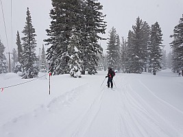 Mt Rose