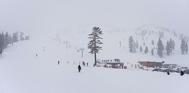 Zephyr chair
Photo: Jim
2019-03-02 10.28.35; '2019 Mar 02 10:28'
Original size: 5,180 x 2,551; 8,324 kB; stitch
2019-03-02 10.28.35 Jim - Zephyr chair_stitch.jpg