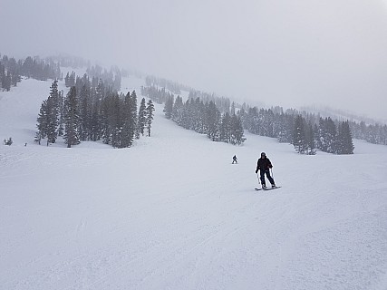 Simon on Ponderosa
Photographer;&nbsp;Jim
2019-03-02&nbsp;15.16.34;&nbsp;Metadata time: '2019 Mar 02 15:16'
Original size:&nbsp;4,032 x 3,024; 2,856 kB
Filename: 2019-03-02 15.16.34 Jim - Simon on Ponderosa.jpeg