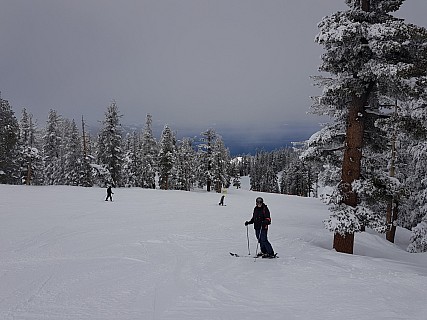 Simon on Ridge Run
Photographer;&nbsp;Jim
2019-03-04&nbsp;11.00.12;&nbsp;Metadata time: '2019 Mar 04 11:00'
Original size:&nbsp;4,032 x 3,024; 4,323 kB
Filename: 2019-03-04 11.00.12 Jim - Simon on Ridge Run.jpeg