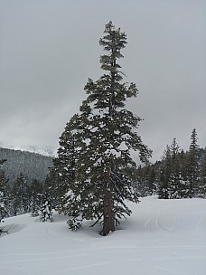 Wagon Trail
Photo: Simon
2019-03-07 11.56.24; '2019 Mar 07 11:56'
Original size: 3,120 x 4,160; 4,999 kB
2019-03-07 11.56.24 LG6 Simon - Wagon Trail P2.jpeg