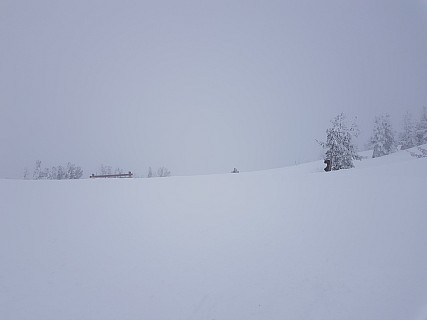 Top of Tamarack
Photographer;&nbsp;Jim
2019-03-07&nbsp;16.01.17;&nbsp;Metadata time: '2019 Mar 07 16:01'
Original size:&nbsp;4,032 x 3,024; 1,981 kB
Filename: 2019-03-07_16.01.17 Jim - top of Tamarack.jpeg