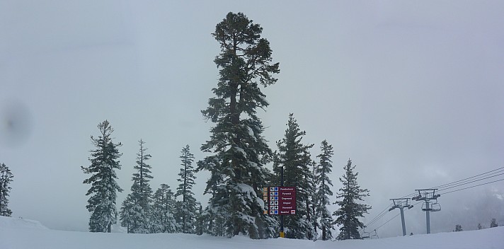 2019-03-07 10.16.07 Panorama Simon - top of West Bowl Express_stitch.jpg: 7813x3860, 25646k (2019 Mar 17 16:38)