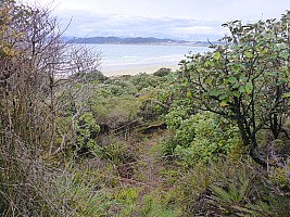 Mason Bay to Doughboy Bay