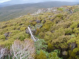 Mason Bay to Doughboy Bay