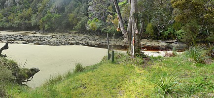 Mason Bay to Doughboy Bay