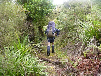 Brian heading up track
Photo: Jim
2019-11-10 10.06.12; '2019 Nov 10 10:06'
Original size: 4,320 x 3,240; 5,111 kB
2019-11-10 10.06.12 P1000714 Jim - Brian heading up track.jpeg