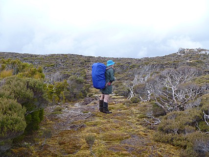Simon on Adams hill
Photographer;&nbsp;Jim
2019-11-10&nbsp;16.08.09;&nbsp;Metadata time: '2019 Nov 10 16:08'
Original size:&nbsp;4,320 x 3,240; 4,708 kB
Filename: 2019-11-10 16.08.09 P1000724 Jim - Simon on Adams hill.jpeg