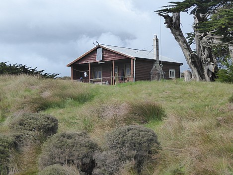 2019-11-10 10.45.59 P1020034 Brian - Kilbride homestead.jpeg: 4000x3000, 4961k (2019 Nov 16 20:40)