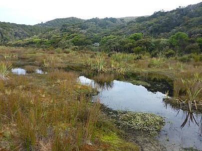 Doughboy Bay hut from beach
Photo:&nbsp;Simon
2019-11-11&nbsp;08.00.08;&nbsp;'2019 Nov 11 08:00'
Original size:&nbsp;4,608 x 3,456; 5,811 kB
2019-11-11 08.00.08 P1020936 Simon - Doughboy Bay hut from beach.jpeg