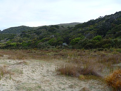 Doughboy Bay hut from the beach
Photo:&nbsp;Jim
2019-11-11&nbsp;08.00.51;&nbsp;'2019 Nov 11 08:00'
Original size:&nbsp;4,320 x 3,240; 5,018 kB
2019-11-11 08.00.51 P1000729 Jim - Doughboy Bay hut from the beach.jpeg