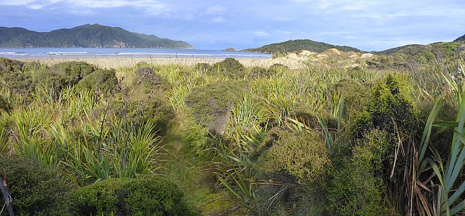 Doughboy Bay sandhills  2
Photo: Simon
2019-11-11 08.13.22; '2019 Nov 11 08:13'
Original size: 7,074 x 3,282; 23,793 kB; stitch
2019-11-11 08.13.22 Panorama Simon - Doughboy Bay sandhills 2_stitch.jpg