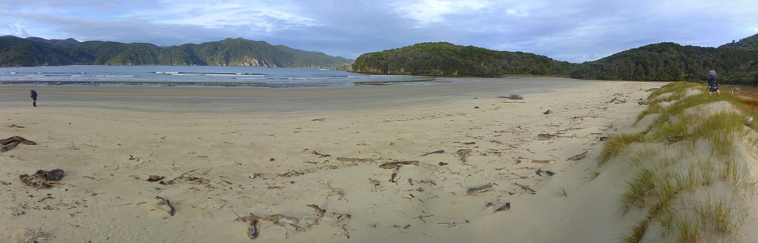 2019-11-11 08.01.43 Panorama Simon - Brian and Jim at Doughboy Bay_stitch.jpg: 10149x3259, 29180k (2019 Nov 17 12:16)