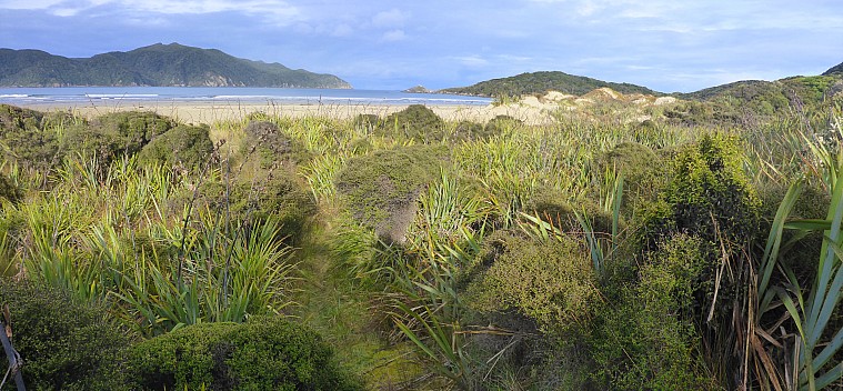 2019-11-11 08.13.22 Panorama Simon - Doughboy Bay sandhills 2_stitch.jpg: 7074x3282, 23793k (2019 Dec 31 16:11)