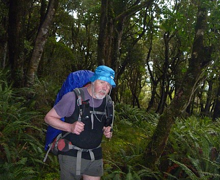 2019-11-11 17.06.05 P1000734 Jim - Simon on Rakeahua track in forest_cr.jpg: 3965x3240, 4515k (2019 Nov 11 17:06)