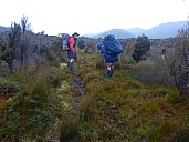 Brian and Jim leaving Rakeahu Hut
Photographer;&nbsp;Simon
2019-11-13&nbsp;07.55.06;&nbsp;Metadata time: '2019 Nov 13 07:55'
Original size:&nbsp;4,608 x 3,456; 6,164 kB
Filename: 2019-11-13 07.55.06 P1030009 Simon - Brian and Jim leaving Rakeahu Hut.jpeg