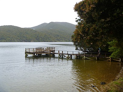 Freds Camp jetty
Photographer;&nbsp;Jim
2019-11-13&nbsp;14.53.24;&nbsp;Metadata time: '2019 Nov 13 14:53'
Original size:&nbsp;4,320 x 3,240; 4,769 kB
Filename: 2019-11-13 14.53.24 P1000758 Jim - Freds Camp jetty.jpeg