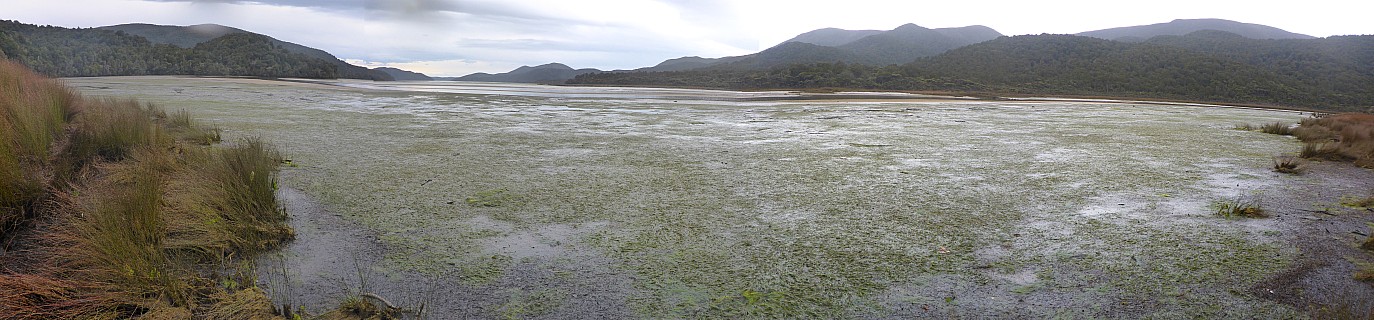 Rakeahua estuary
Photographer;&nbsp;Simon
2019-11-13&nbsp;09.37.40;&nbsp;Metadata time: '2019 Nov 13 09:37'
Original size:&nbsp;12,695 x 2,957; 36,745 kB;&nbsp;stitch
Filename: 2019-11-13 09.37.40 Panorama Simon - Rakeahua estuary_stitch.jpg