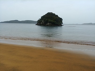 Island off Sydney Cove
Photo: Simon
2019-11-16 10.02.29; '2019 Nov 16 10:02'
Original size: 4,160 x 3,120; 5,513 kB
2019-11-16 10.02.29 LG6 Simon - Island off Sydney Cove.jpeg
