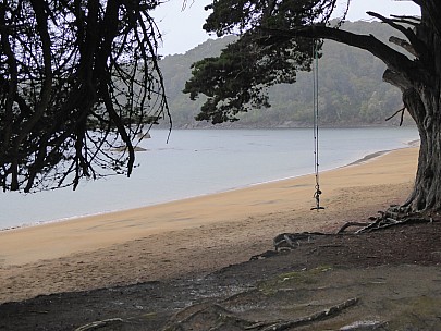 Sydney Cove
Photo: Brian
2019-11-16 10.07.18; '2019 Nov 16 10:07'
Original size: 4,000 x 3,000; 4,900 kB
2019-11-16 10.07.18 P1020079 Brian - Sydney Cove.jpeg