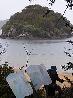 Syndney Cove interpretation
Photographer;&nbsp;Brian
2019-11-16&nbsp;10.07.45;&nbsp;Metadata time: '2019 Nov 16 10:07'
Original size:&nbsp;3,000 x 4,000; 4,271 kB
Filename: 2019-11-16 10.07.45 P1020080 Brian - Syndney Cove interpretation.jpeg